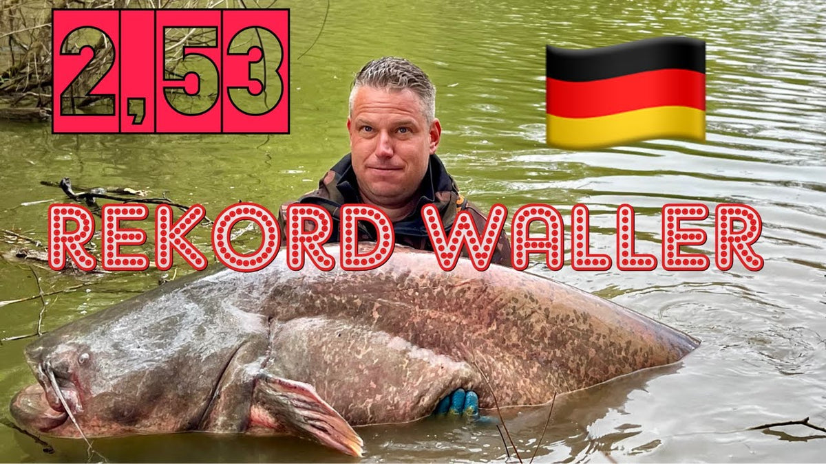 Wallerguiding am Rhein – Dave von Wild Boys Fishing mit 2,53 m Rekordwaller